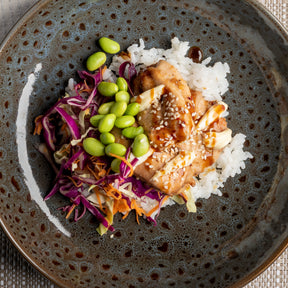 Teriyaki Chicken on Rice